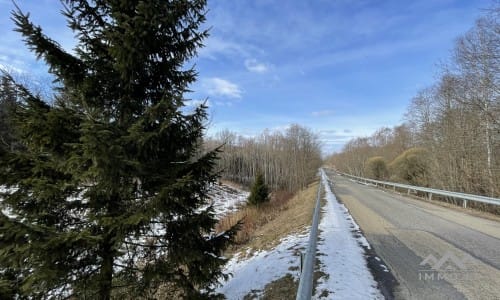 Grundstücke mit Wald