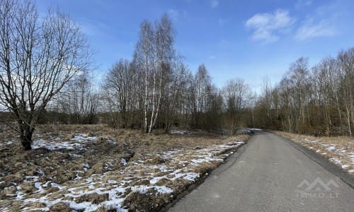 Grundstücke mit Wald