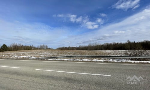 Grundstücke mit Wald