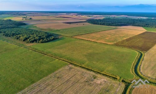 Gehöft im Bezirk Telšiai