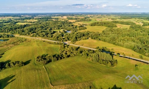 Grundstücke mit Wald