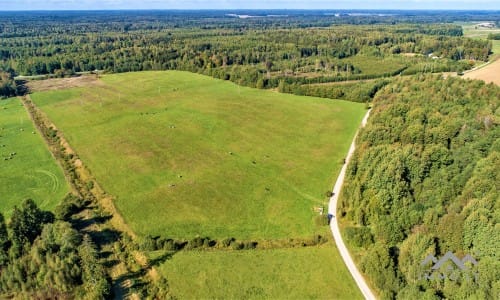 Grundstück im Bezirk Redau