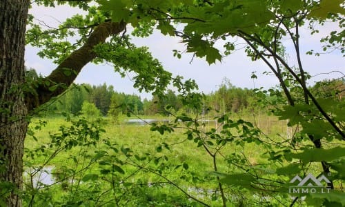 Altes Bauernhaus im Einzigartigen Nationalpark Samogitien