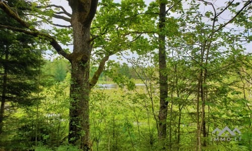 Altes Bauernhaus im Einzigartigen Nationalpark Samogitien