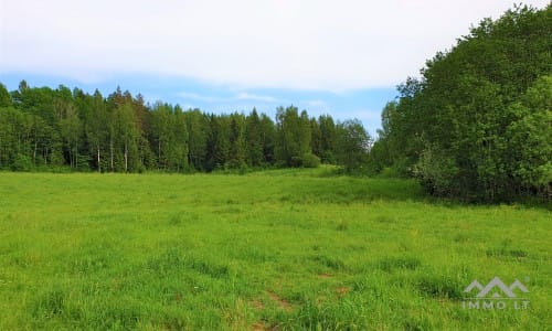 Altes Bauernhaus im Einzigartigen Nationalpark Samogitien