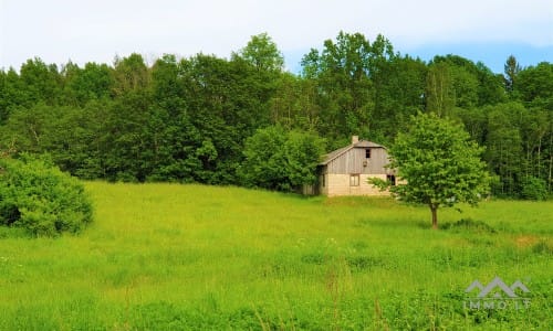 Altes Bauernhaus im Einzigartigen Nationalpark Samogitien