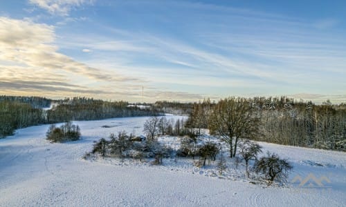 Ein alter Bauernhof mit Wald