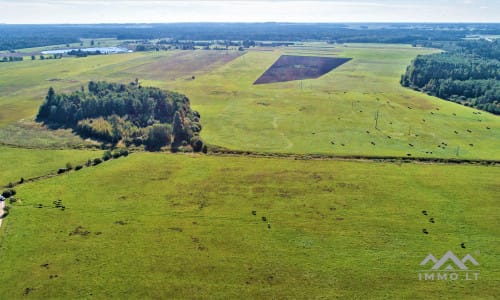 Plot in Rietavas Municipality
