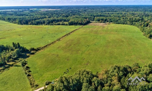 Plot in Rietavas Municipality