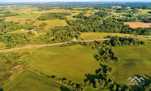 Land Plots With Forest