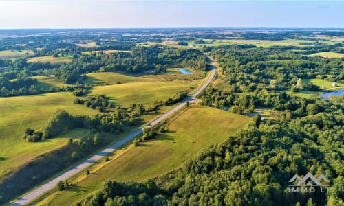 Land Plots With Forest