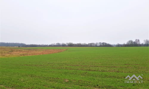 Old Homestead in Skuodas District
