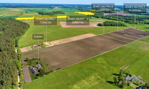 Homestead With 13 Hectares of Land