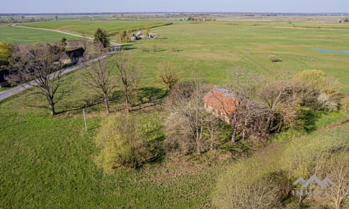 25 ha große Landfläche im Bezirk Šilutė für landwirtschaftliche Nutzung