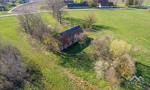25 ha große Landfläche im Bezirk Šilutė für landwirtschaftliche Nutzung
