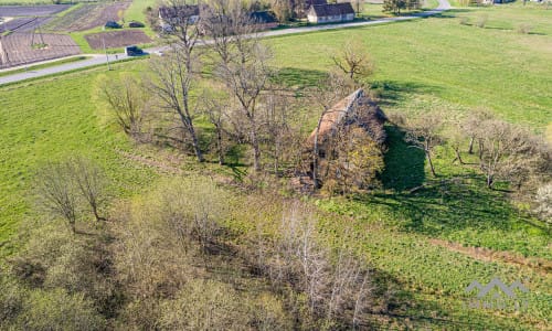 25 ha große Landfläche im Bezirk Šilutė für landwirtschaftliche Nutzung