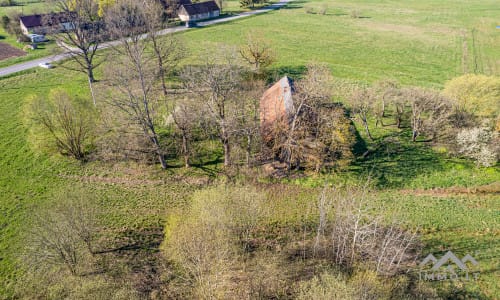 25 ha große Landfläche im Bezirk Šilutė für landwirtschaftliche Nutzung
