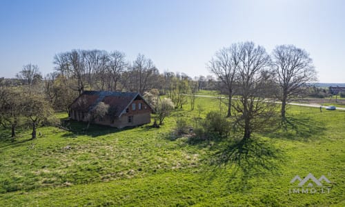 25 ha große Landfläche im Bezirk Šilutė für landwirtschaftliche Nutzung