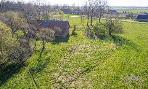 25 ha große Landfläche im Bezirk Šilutė für landwirtschaftliche Nutzung