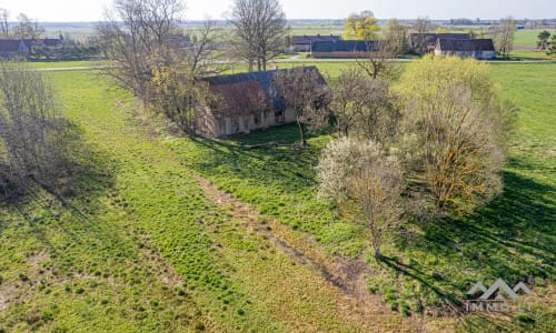 25 ha große Landfläche im Bezirk Šilutė für landwirtschaftliche Nutzung