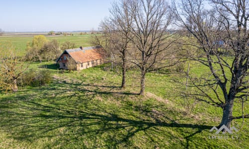 25 ha große Landfläche im Bezirk Šilutė für landwirtschaftliche Nutzung