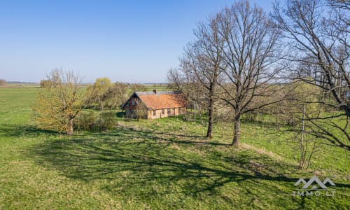 25 ha große Landfläche im Bezirk Šilutė für landwirtschaftliche Nutzung