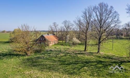 25 ha große Landfläche im Bezirk Šilutė für landwirtschaftliche Nutzung