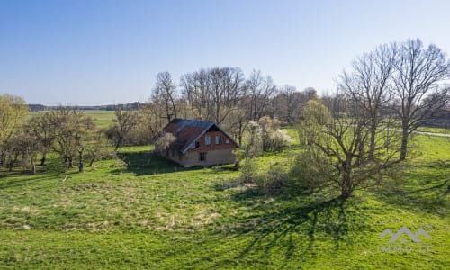 25 ha große Landfläche im Bezirk Šilutė für landwirtschaftliche Nutzung
