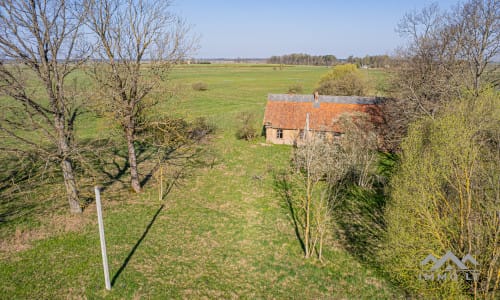 25 ha große Landfläche im Bezirk Šilutė für landwirtschaftliche Nutzung