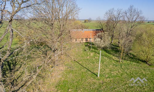 25 ha große Landfläche im Bezirk Šilutė für landwirtschaftliche Nutzung