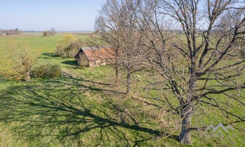 25 ha große Landfläche im Bezirk Šilutė für landwirtschaftliche Nutzung