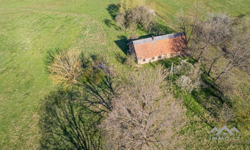 25 ha große Landfläche im Bezirk Šilutė für landwirtschaftliche Nutzung