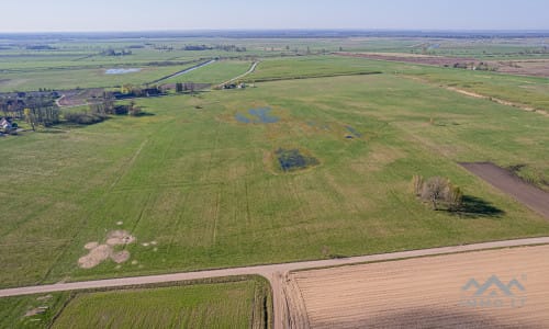 25 ha große Landfläche im Bezirk Šilutė für landwirtschaftliche Nutzung