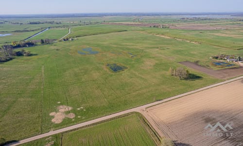 25 ha große Landfläche im Bezirk Šilutė für landwirtschaftliche Nutzung