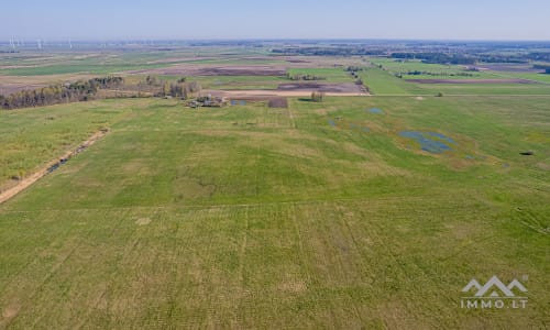 25 ha große Landfläche im Bezirk Šilutė für landwirtschaftliche Nutzung