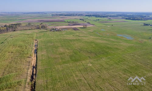 25 ha große Landfläche im Bezirk Šilutė für landwirtschaftliche Nutzung
