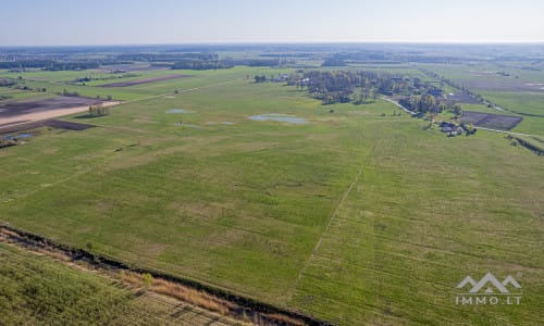 25 ha große Landfläche im Bezirk Šilutė für landwirtschaftliche Nutzung
