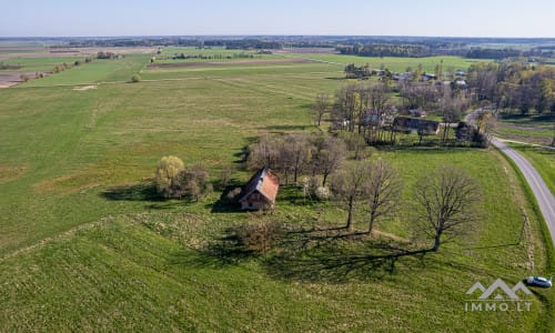 25 ha große Landfläche im Bezirk Šilutė für landwirtschaftliche Nutzung