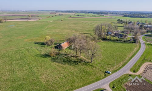 25 ha große Landfläche im Bezirk Šilutė für landwirtschaftliche Nutzung