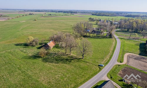 25 ha große Landfläche im Bezirk Šilutė für landwirtschaftliche Nutzung