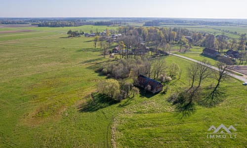 25 ha große Landfläche im Bezirk Šilutė für landwirtschaftliche Nutzung