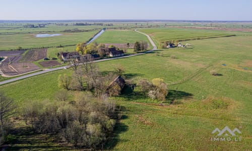 25 ha große Landfläche im Bezirk Šilutė für landwirtschaftliche Nutzung