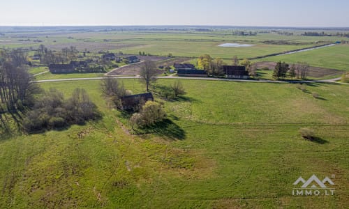 25 ha große Landfläche im Bezirk Šilutė für landwirtschaftliche Nutzung