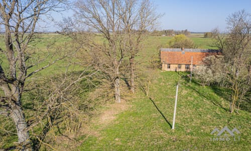 25 ha große Landfläche im Bezirk Šilutė für landwirtschaftliche Nutzung