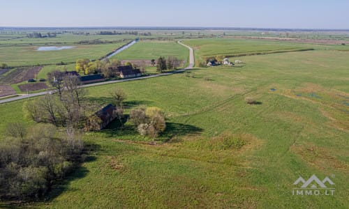25 ha große Landfläche im Bezirk Šilutė für landwirtschaftliche Nutzung