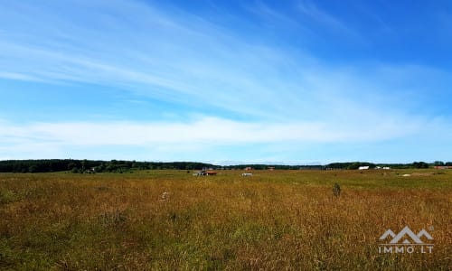 Baugrundstück in Nimmersatt