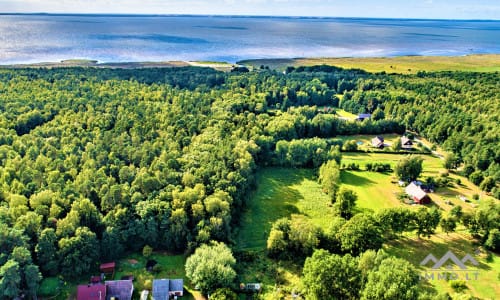Exklusives Baugrundstück am Wald und Kurischen Haff