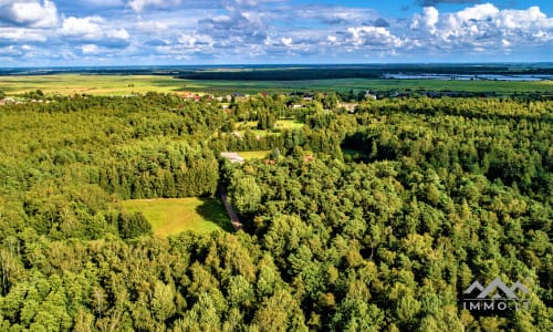 Exklusives Baugrundstück am Wald und Kurischen Haff