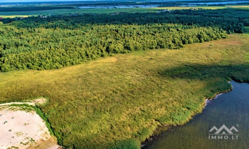 Exklusives Baugrundstück am Wald und Kurischen Haff