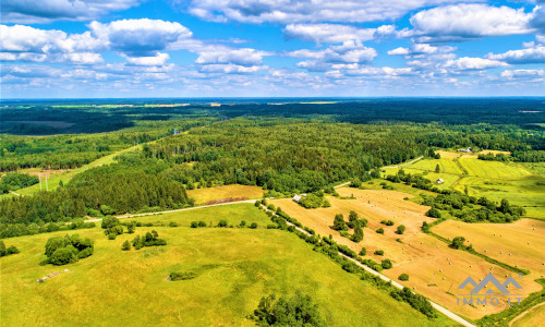 Unique Old Farmhouse in Plungė District